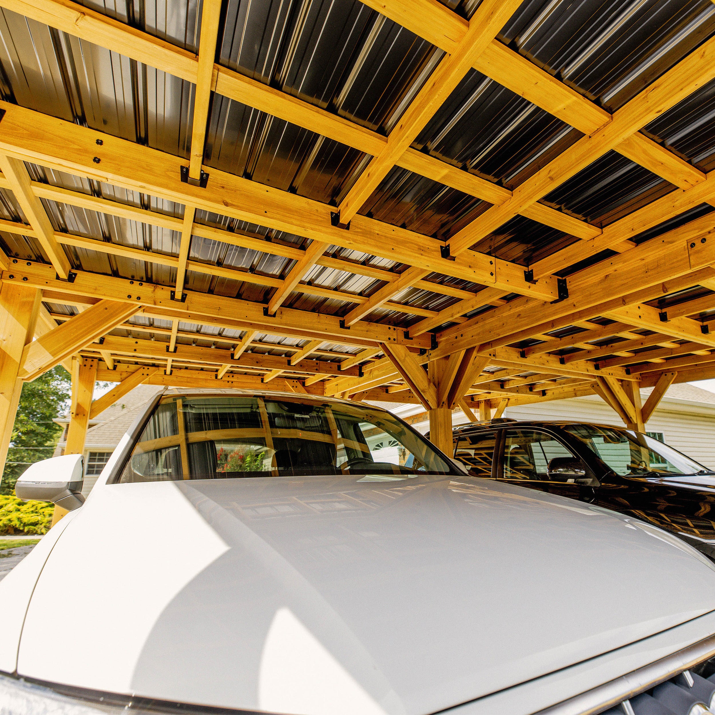 20x20 Kingsport Carport - interior roof