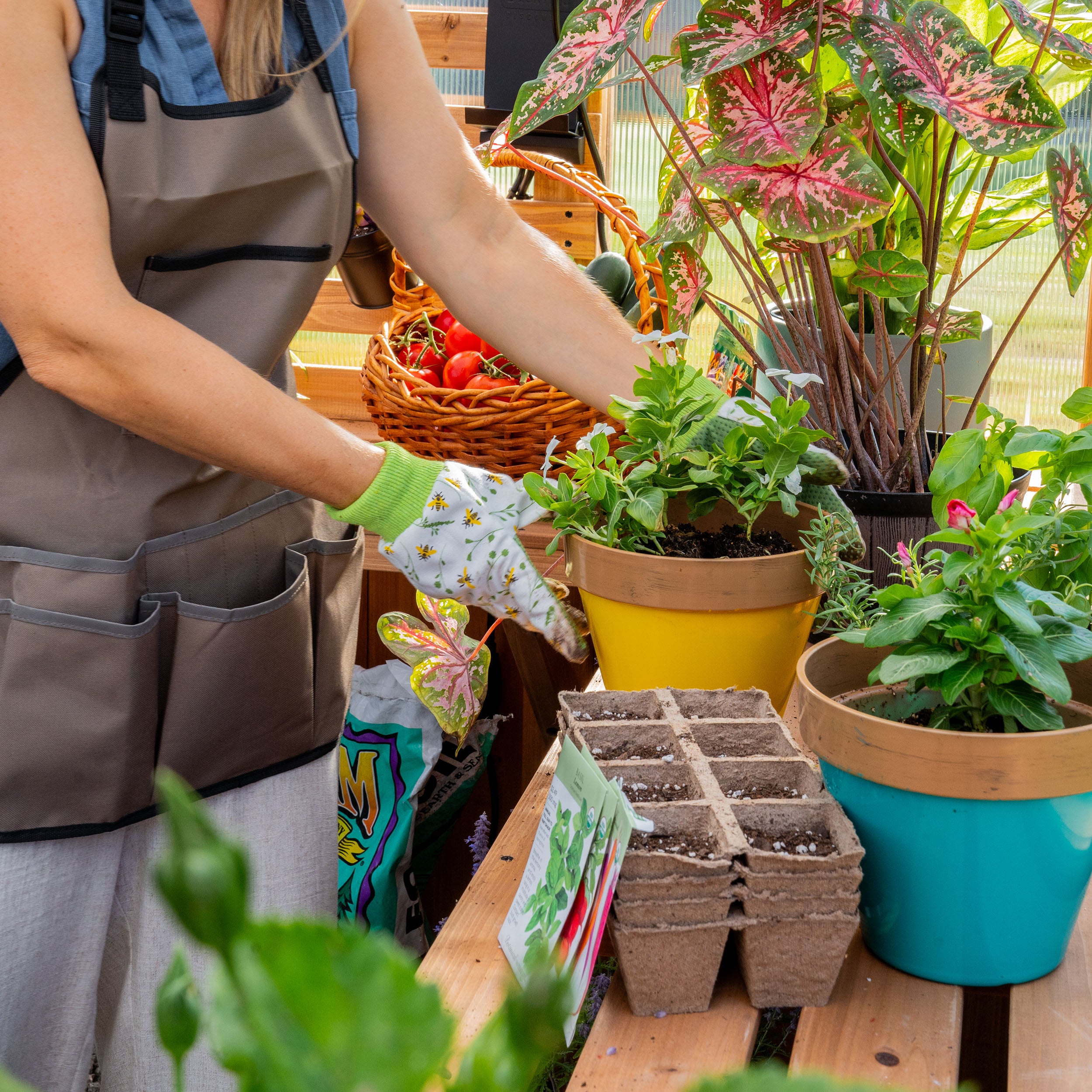 Zaile Greenhouse Shelf