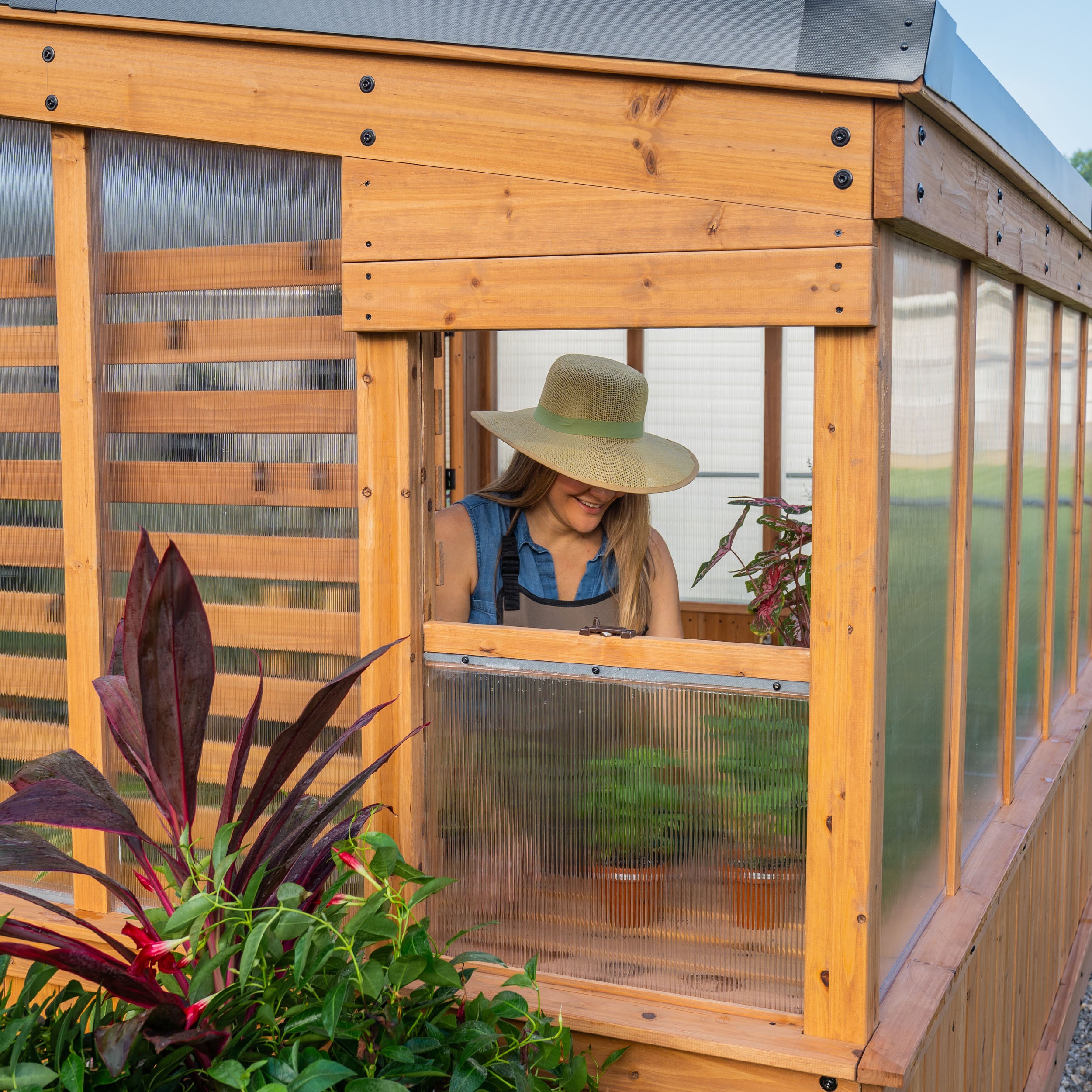 Zaile Modern Greenhouse Window