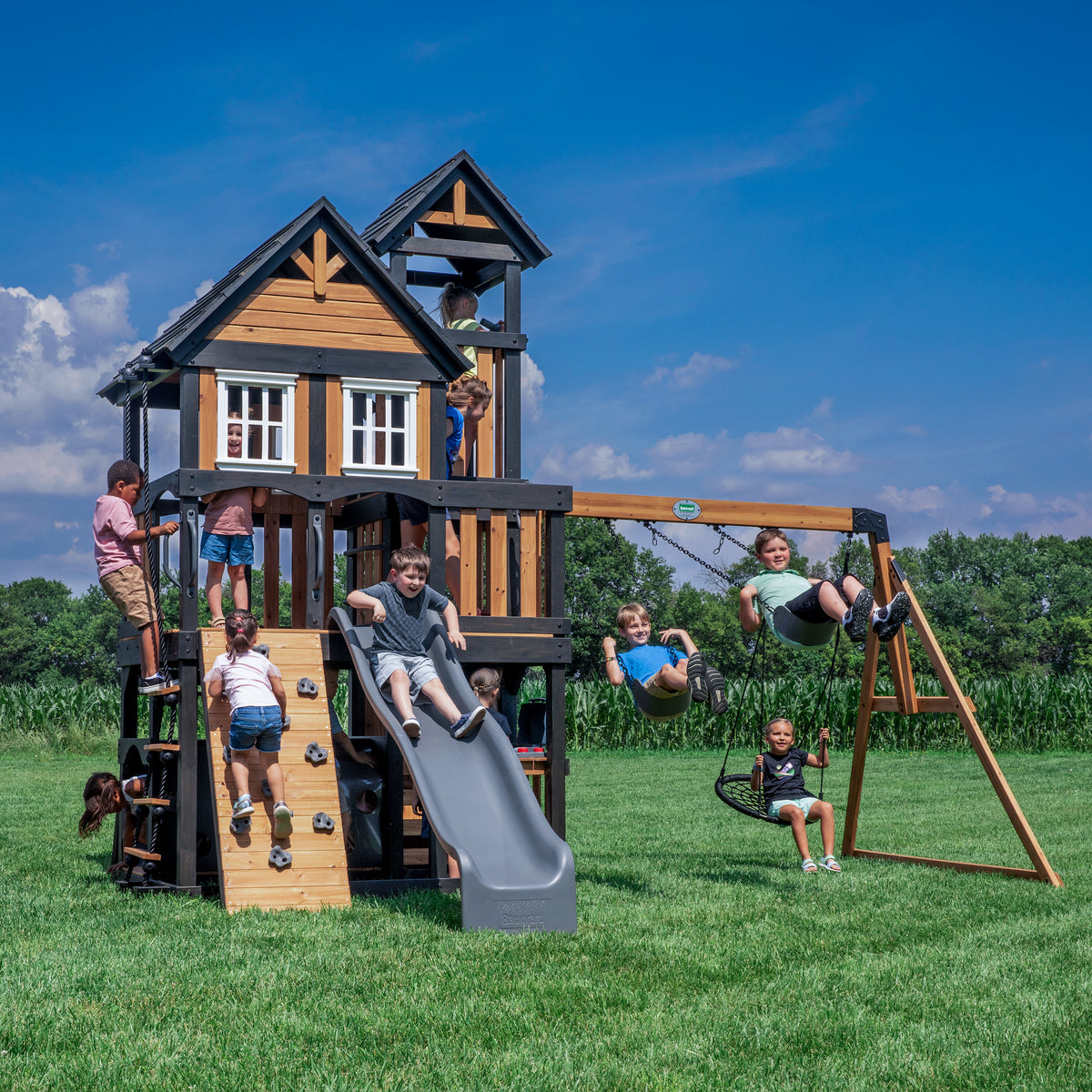 Cedar Cove Swing Set Shipping Included