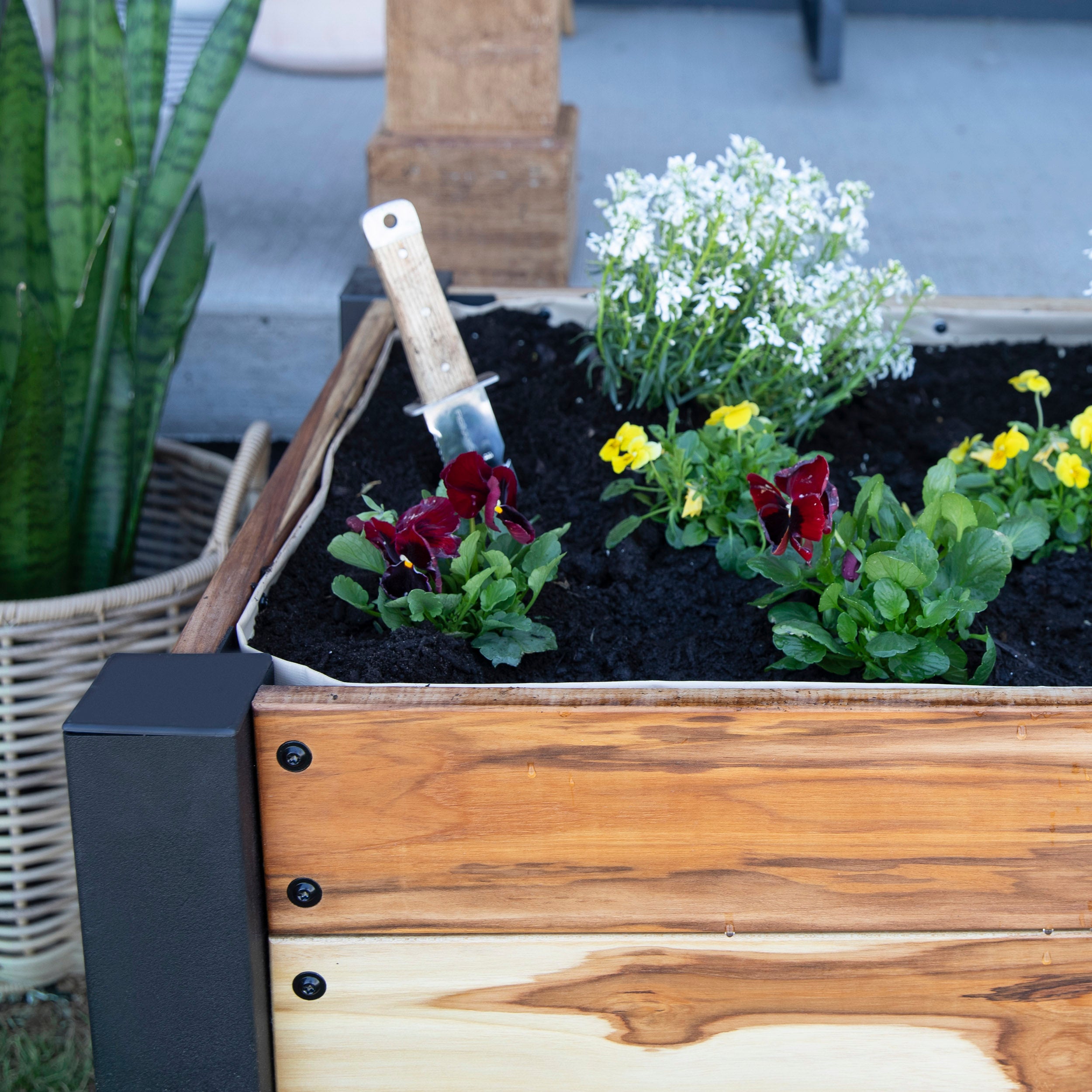 Teak Planter Interior