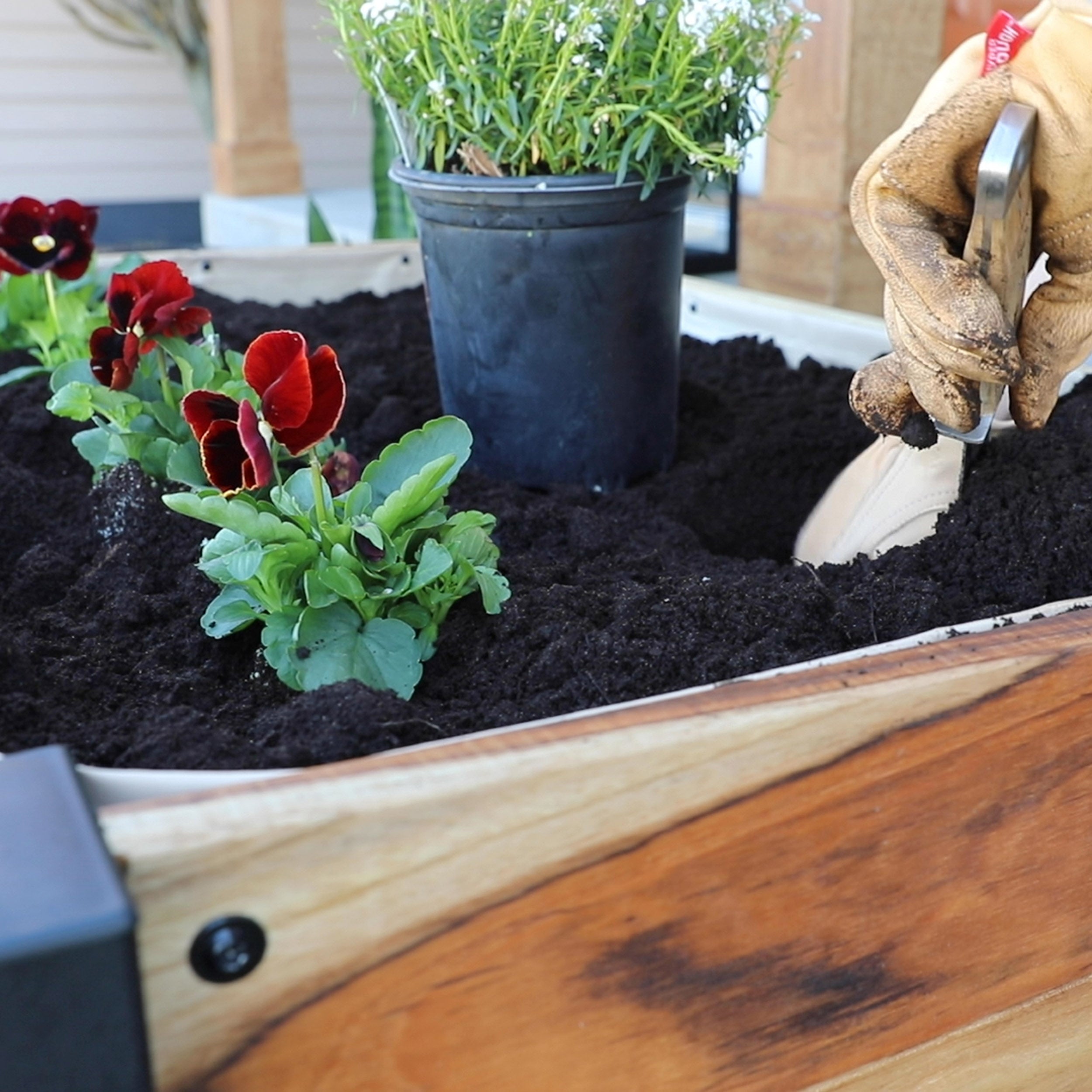 Teak Planter Interior