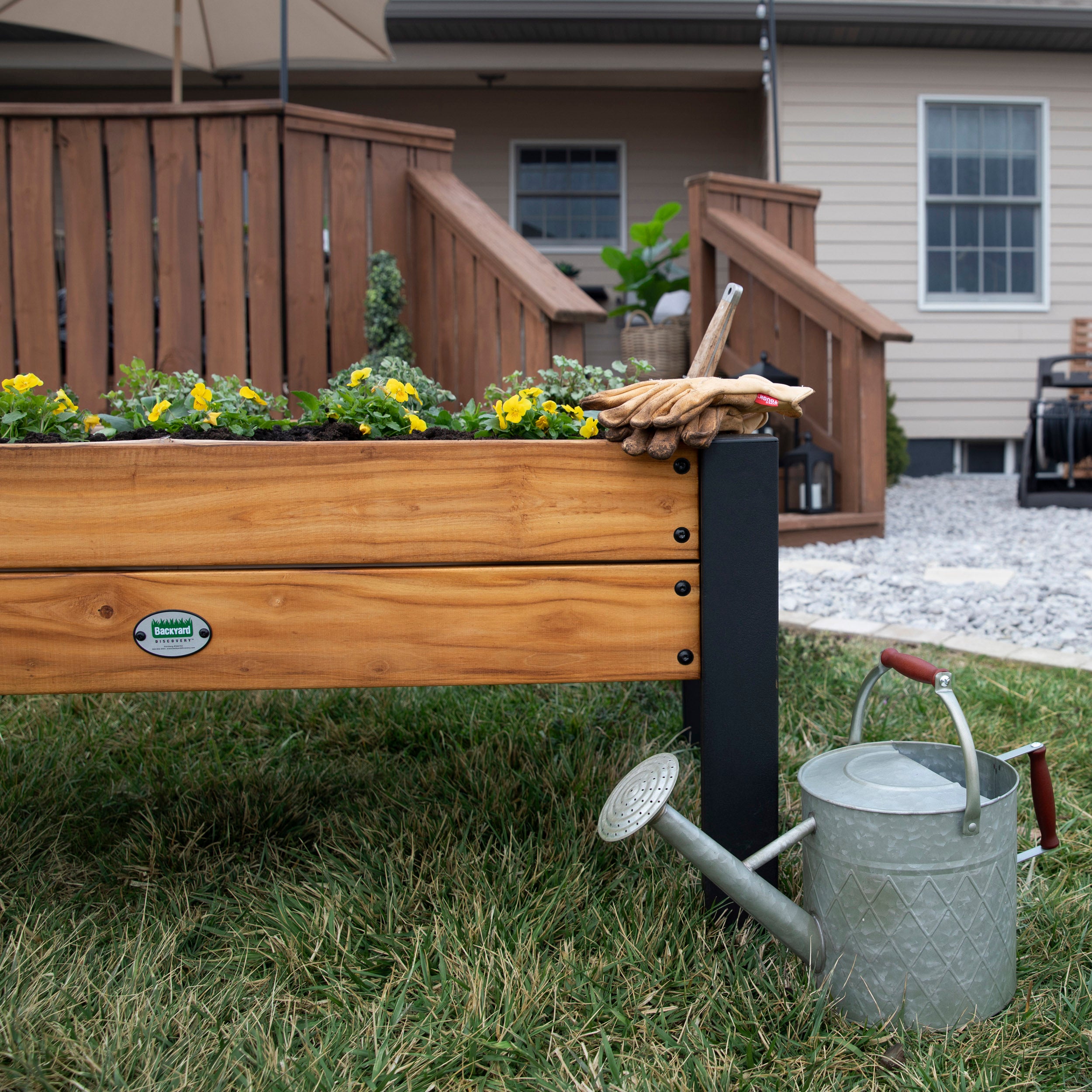 Raised Teak Planter and flower pot