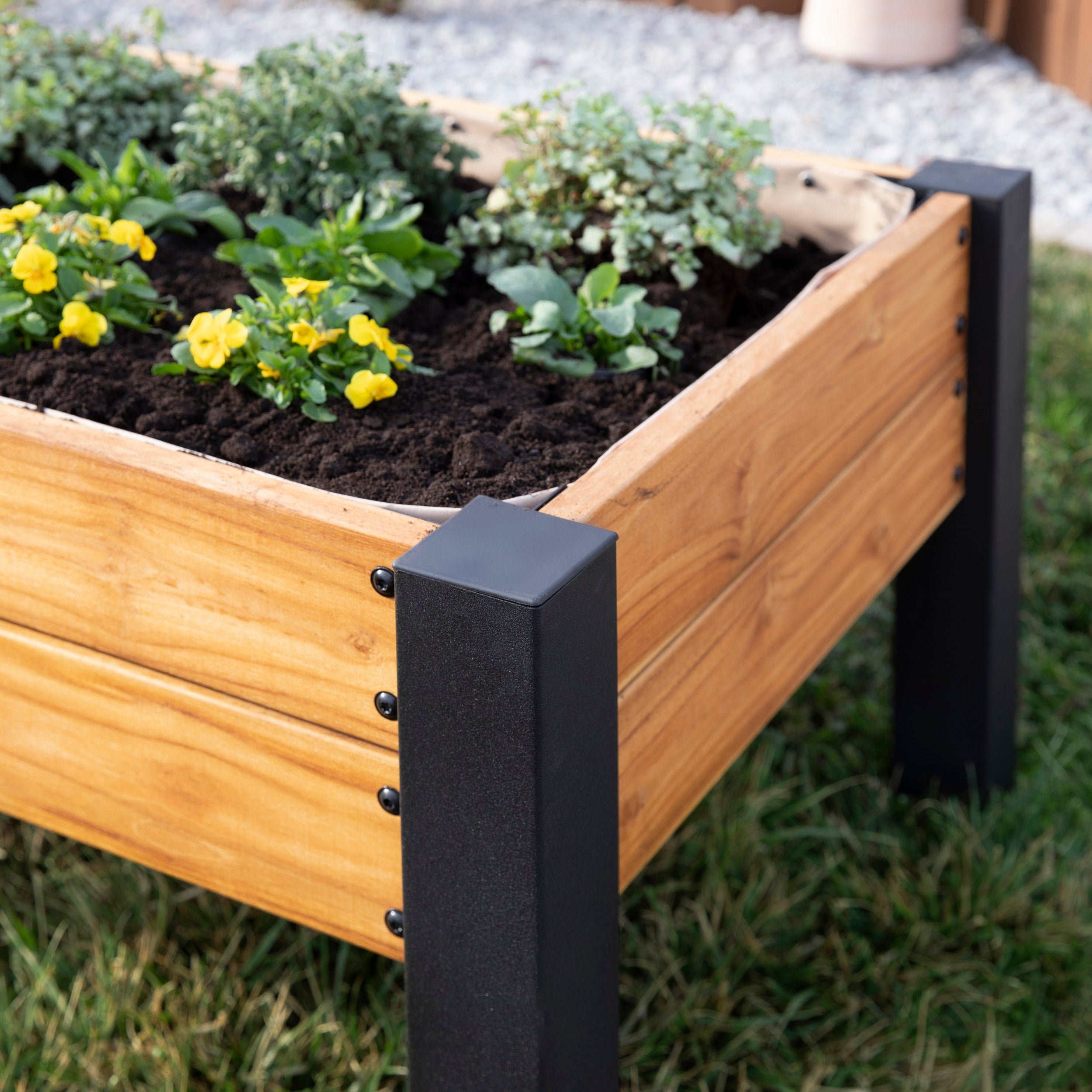 Raised Teak Planter