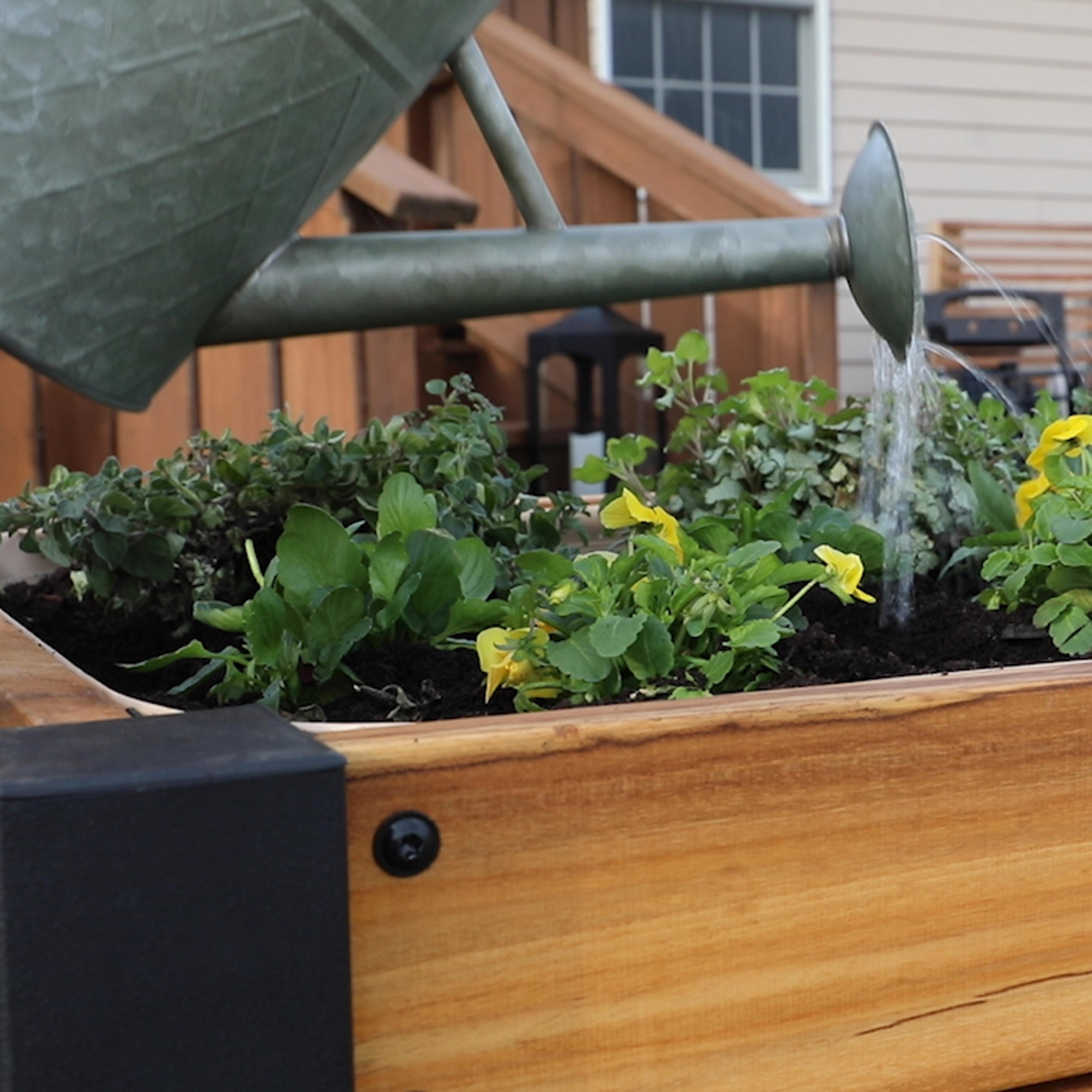 Raised Teak Planter